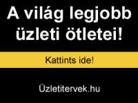 Üzletitervek.hu - Hogy ez miért nem nekem jutott eszembe? Üzletitervek.hu - Hogy ez miért nem nekem jutott eszembe?
